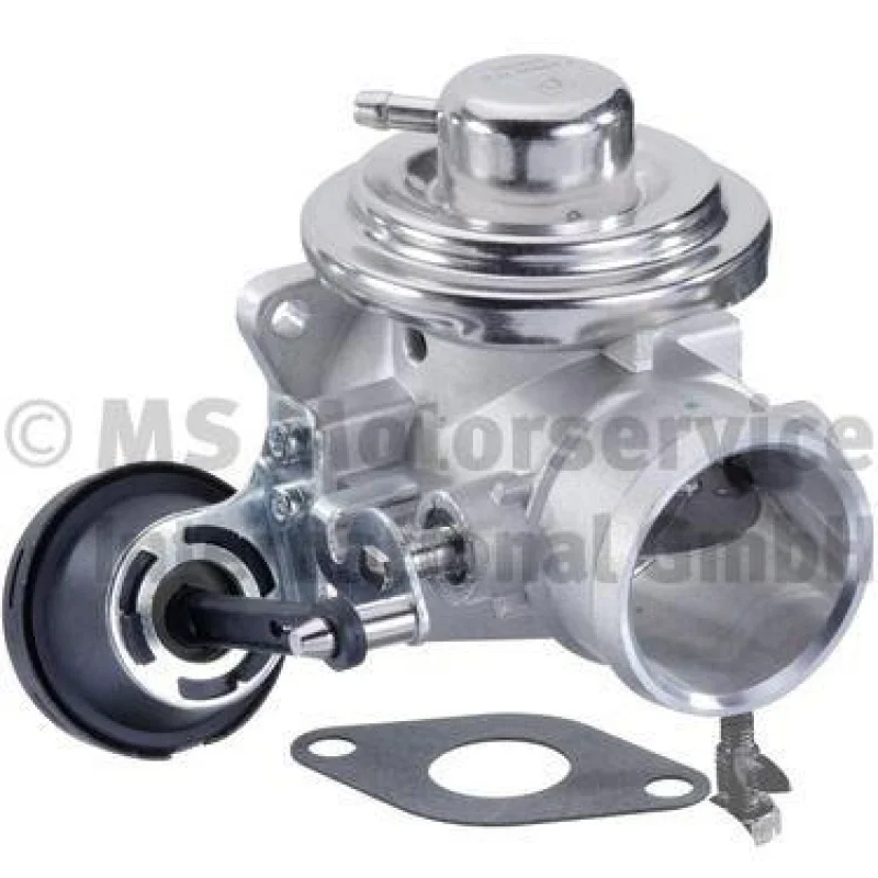 lott-297738